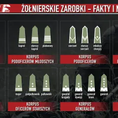 Grafika pokazuje stopnie wojskowe i korpusy, od szeregowego do Marszałka Polski. Dowiedz się, ile zarabia kapral w wojsku.