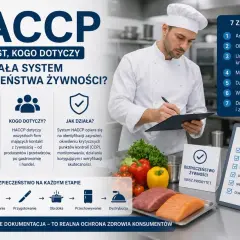Szef kuchni notuje szczegóły systemu HACCP, kluczowego dla bezpieczeństwa żywności. Grafika wyjaśnia zasady i etapy jego wdrażania.