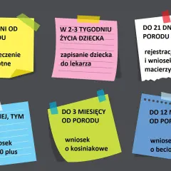 Terminy na urlop okolicznościowy urodzenie dziecka: ubezpieczenie zdrowotne, zapisanie do lekarza, rejestracja w USC, wniosek o 500 plus, kosiniakowe i beciokowe.