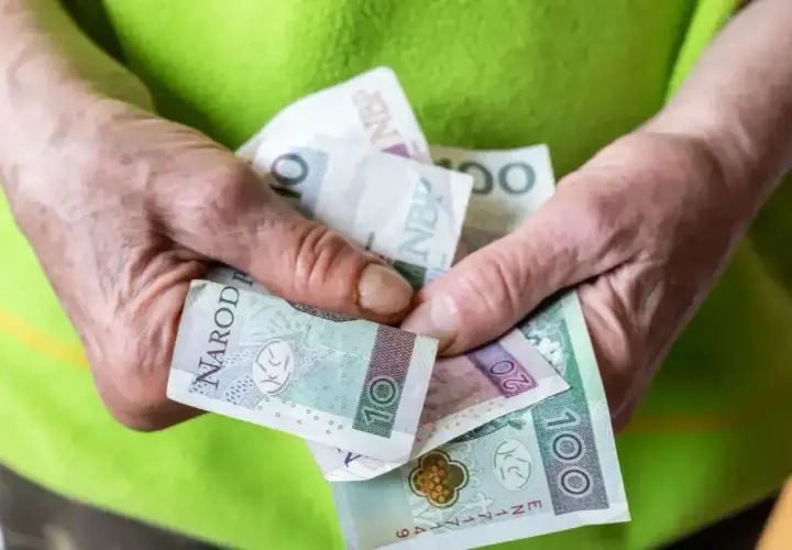 Dłonie starszej osoby liczą banknoty. To może być wsparcie dla osób, które potrzebują emerytury socjalnej.