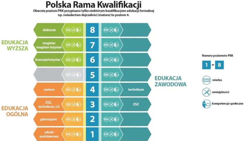 Polska Rama Kwalifikacji: od podstawówki do doktoratu. Poziom 4 to matura, a studia bez matury są możliwe na niższych poziomach.
